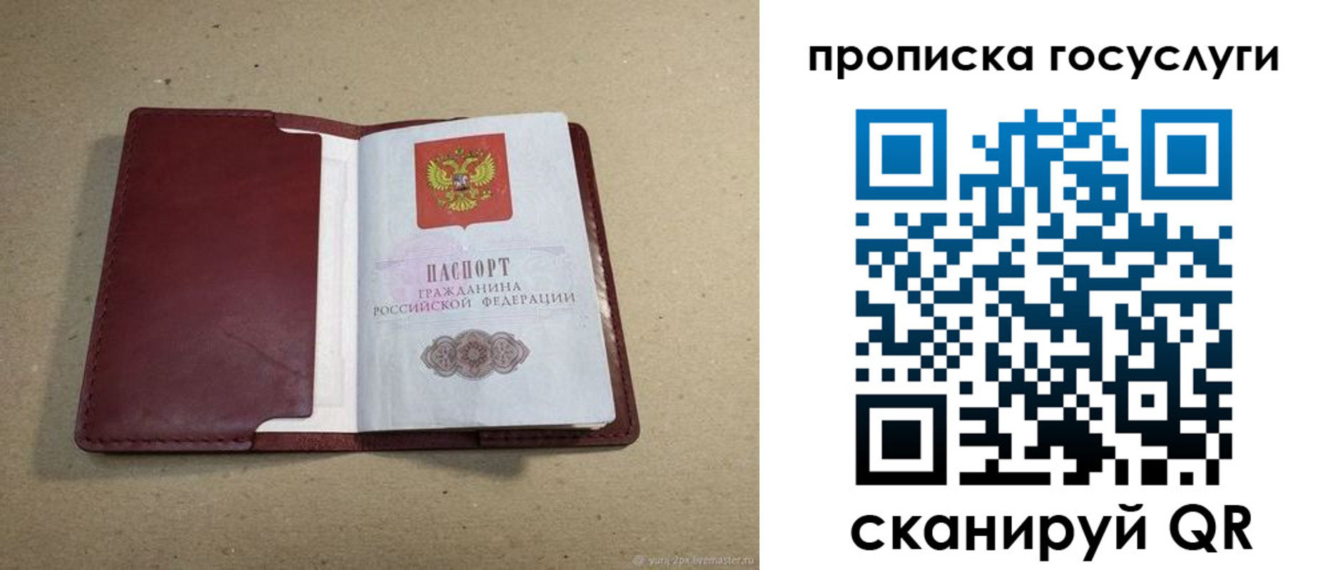 прописка поиск в Рассказово